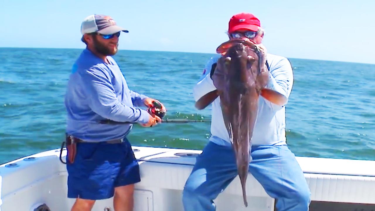 Victory+ - Louisiana Tuna Town