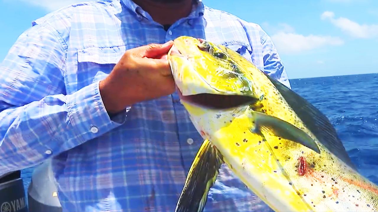 Victory+ - Blue Water Abaco