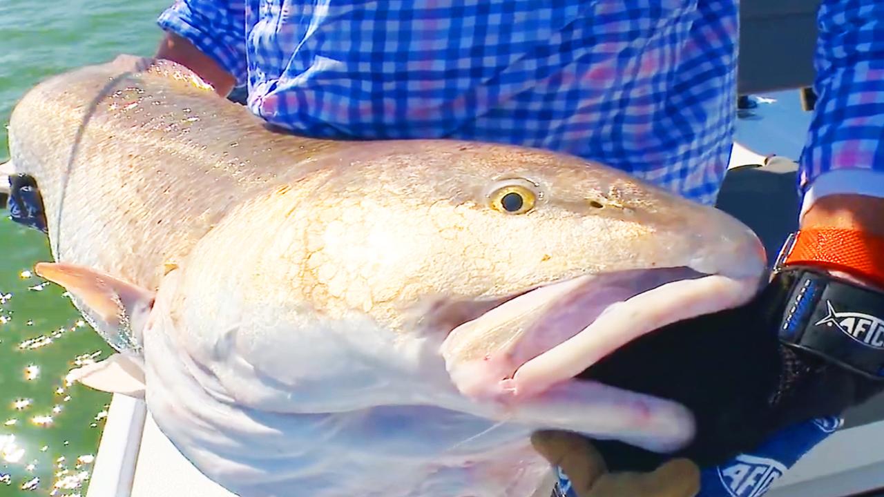 Victory+ - Virginia Beach