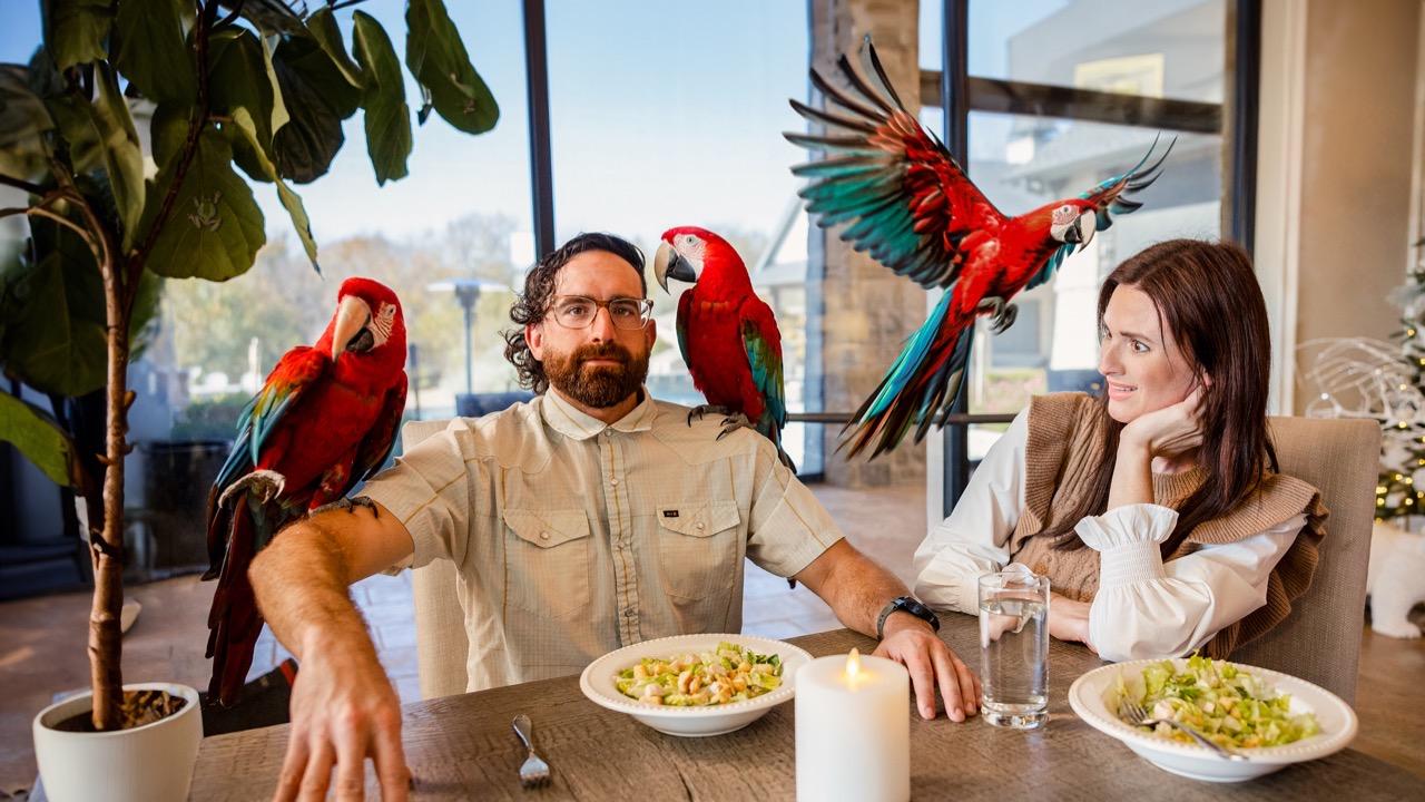 Victory+ - Pet Stereotypes