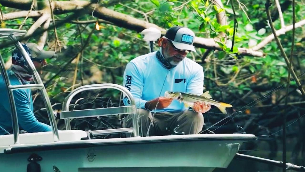 Victory+ - Mangrove Migraine