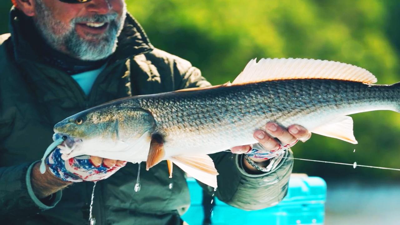 Victory+ - Codty The Explorer