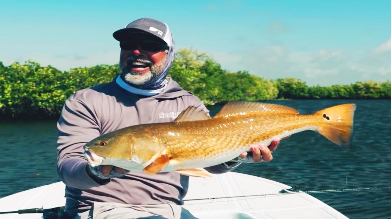 Victory+ - Guides Day Off