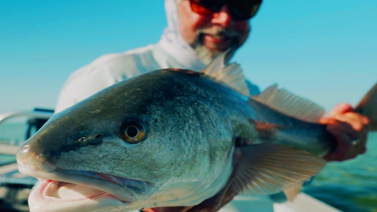 Victory+ - Fly Or Die