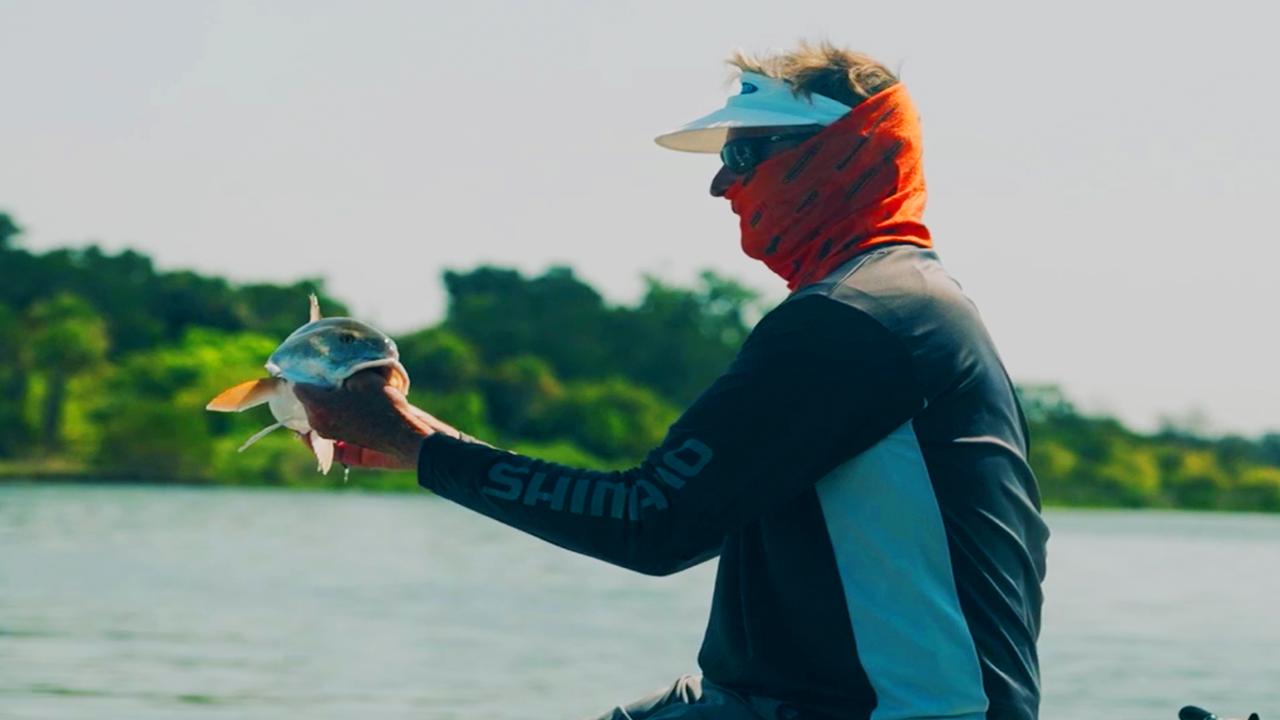 Victory+ - Bassin Bernie