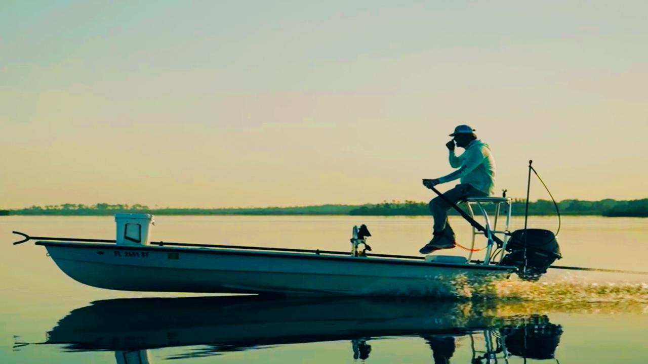 Victory+ - Solo Cobia