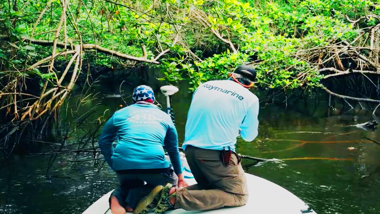 Victory+ - The Ballad Of C.A.