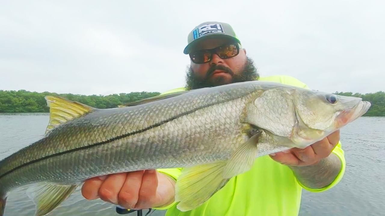 Victory+ - Fall in Tampa Bay