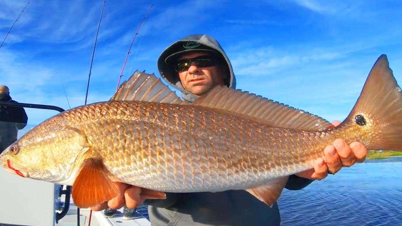 Victory+ - Delacroix