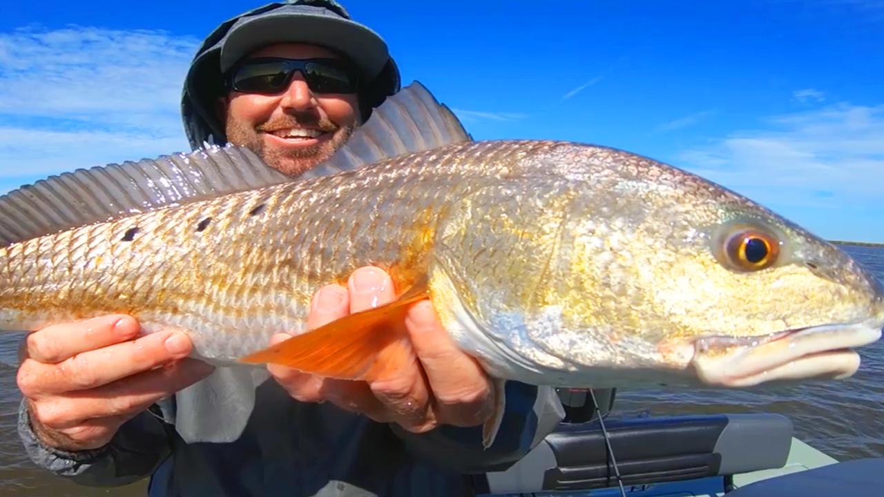 Victory+ - Delacroix # 2