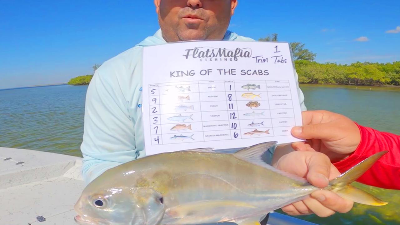 Victory+ - King of Scabs