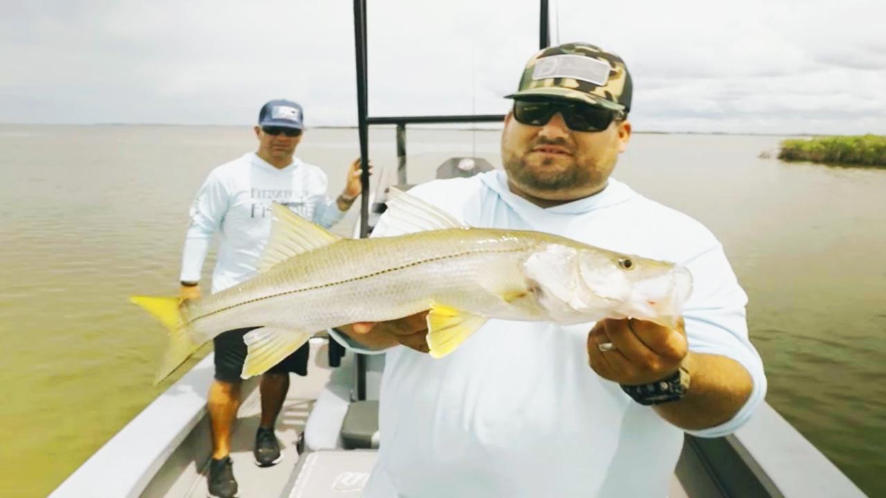 Victory+ - Golden Spoon Retriever