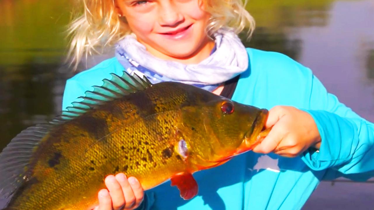 Victory+ - Bass and Exotics