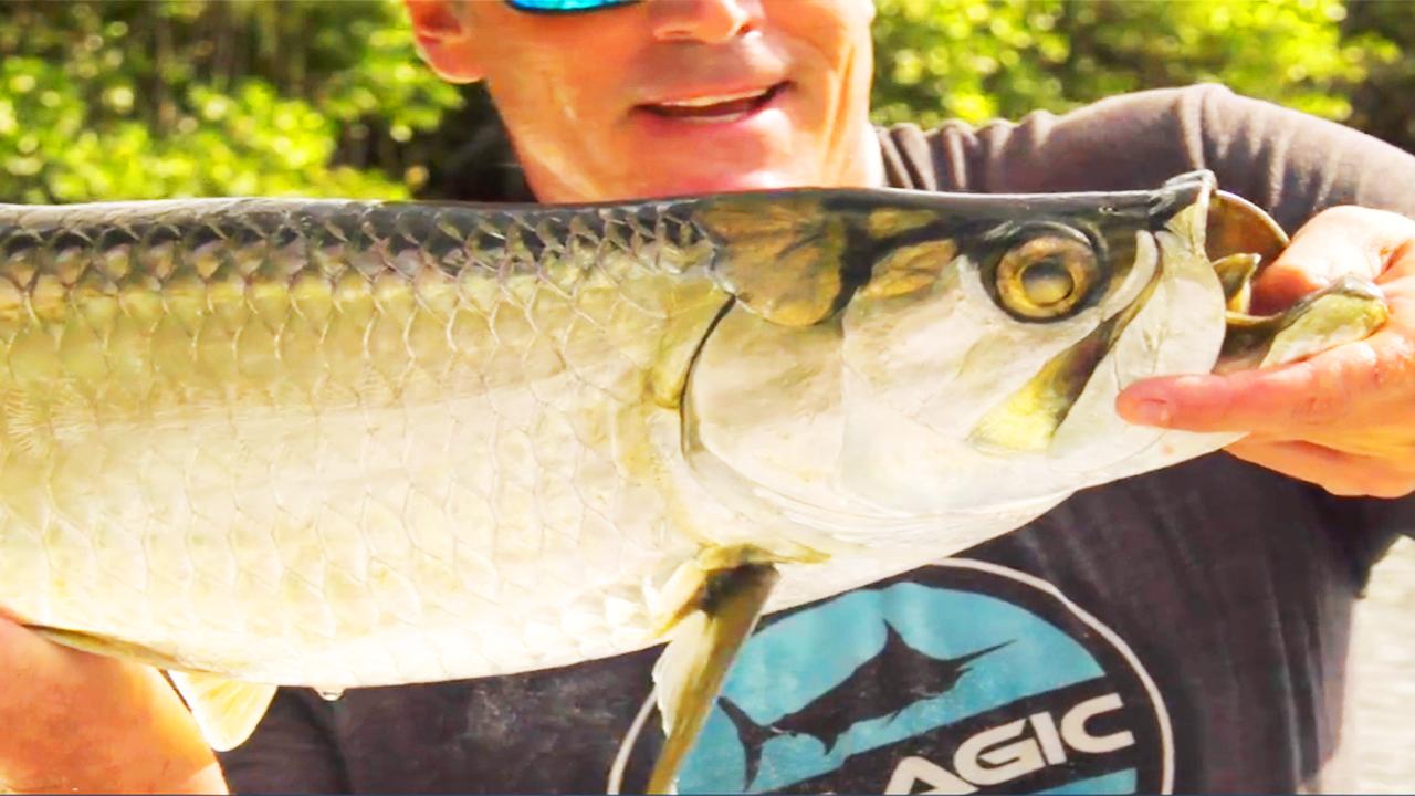 Victory+ - Loxahatchee