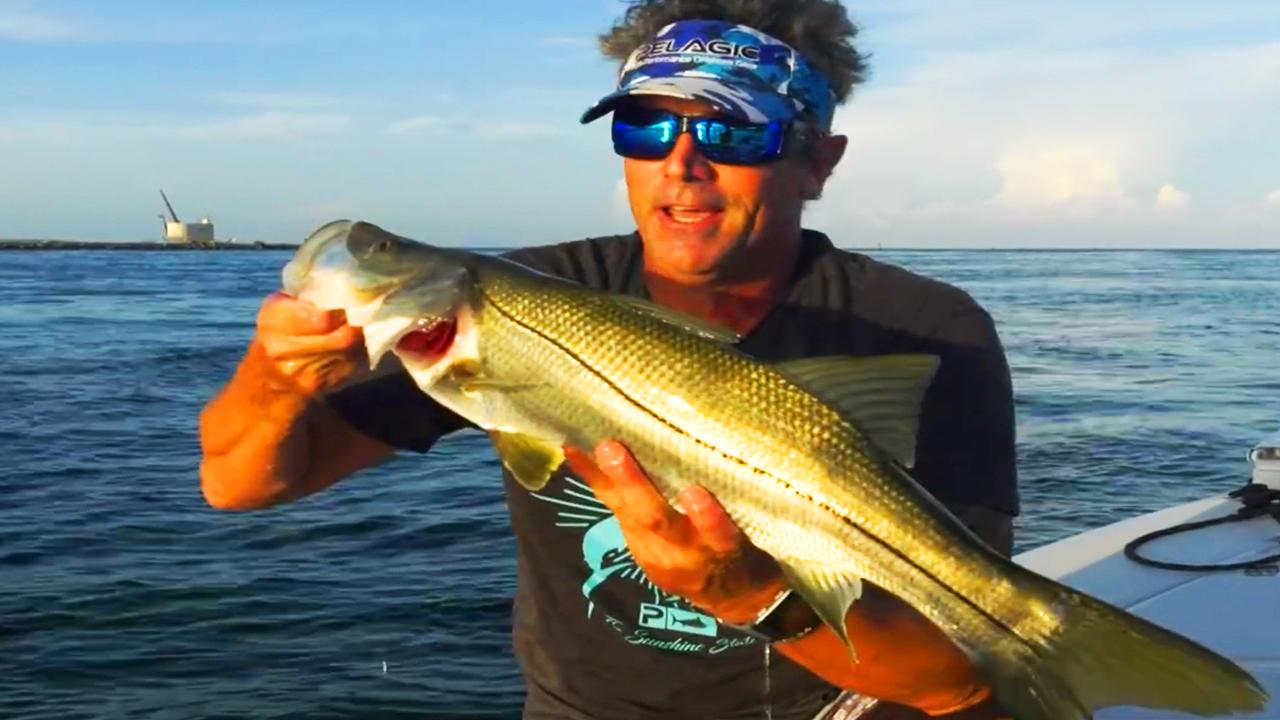 Victory+ - Palm Beach Inlet Snook