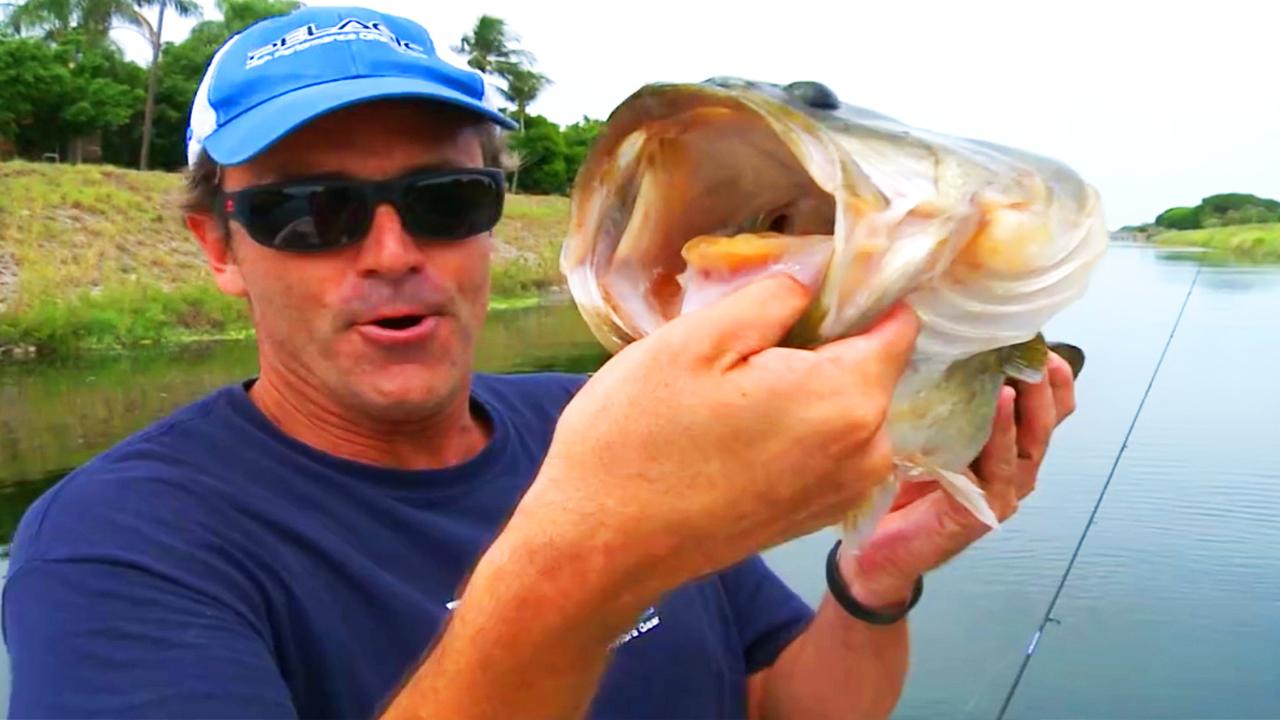 Victory+ - Urban Fishing Tactics