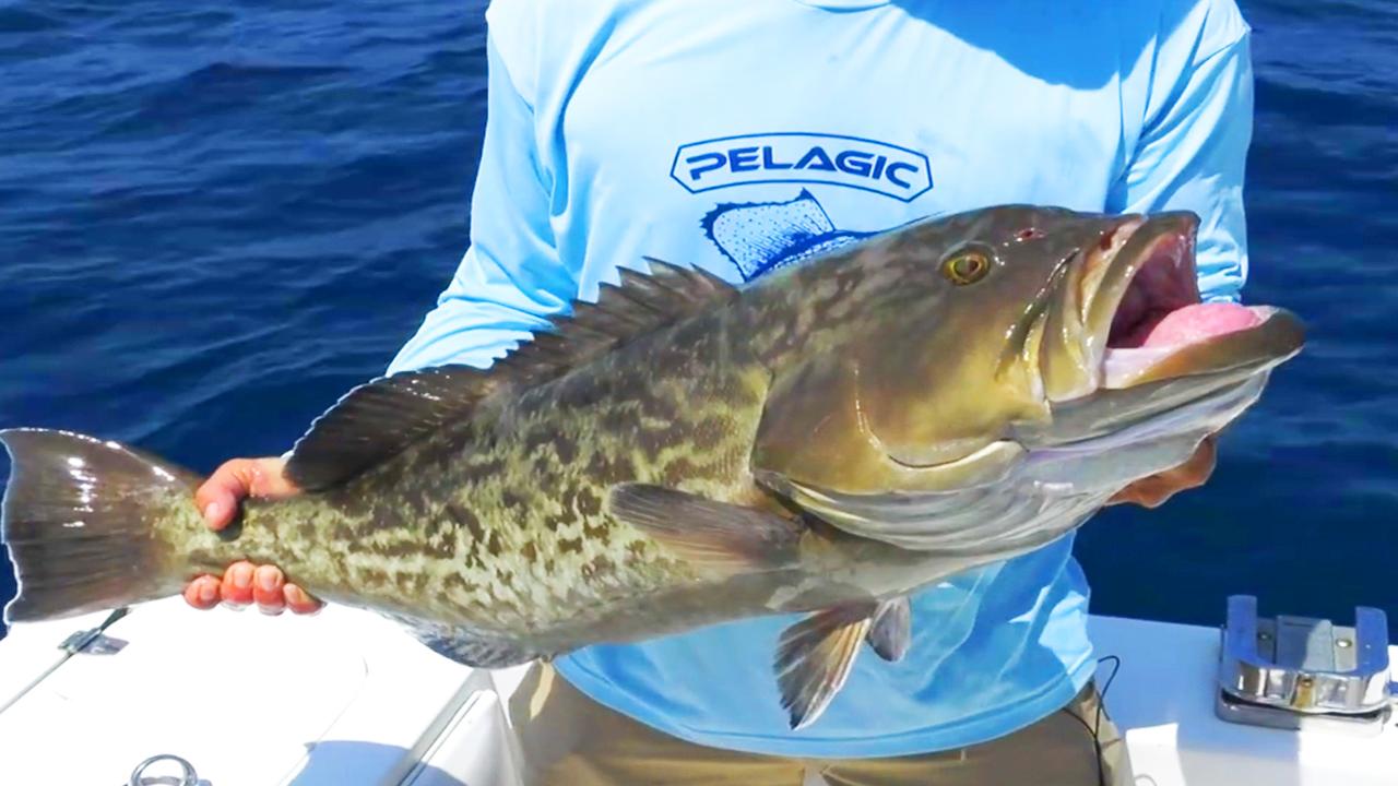 Victory+ - May the Fishing Force Be With You