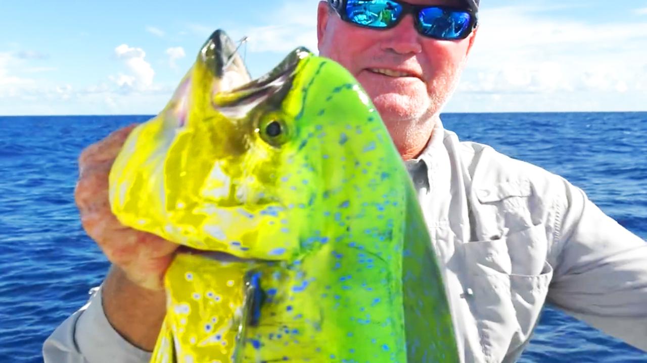 Victory+ - Mahi Madness