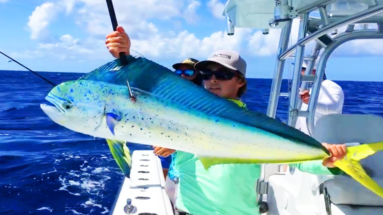 Victory+ - East Side of the Gulf Stream