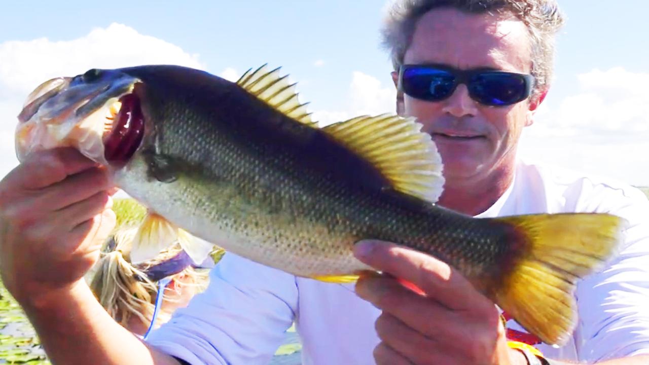 Victory+ - Big O Bass