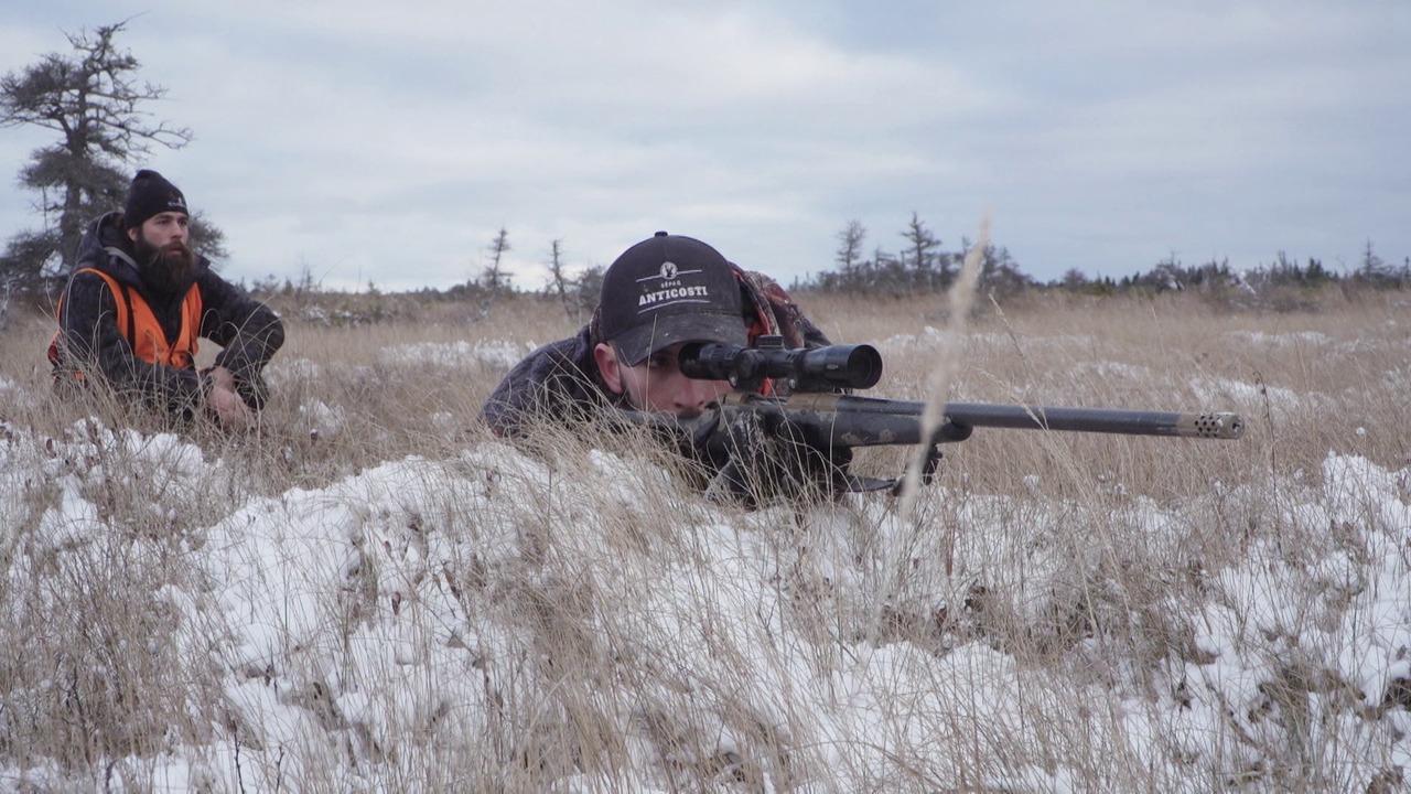 Victory+ - The Fantastic Island