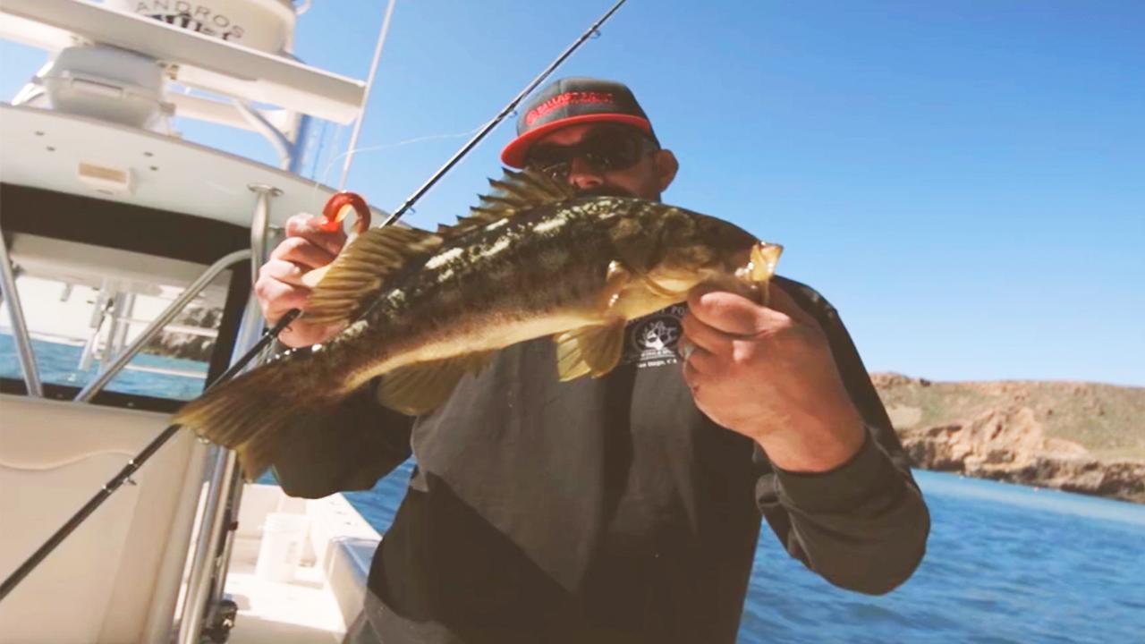 Victory+ - San Diego Fishing Calico Bass at San Clemente Island