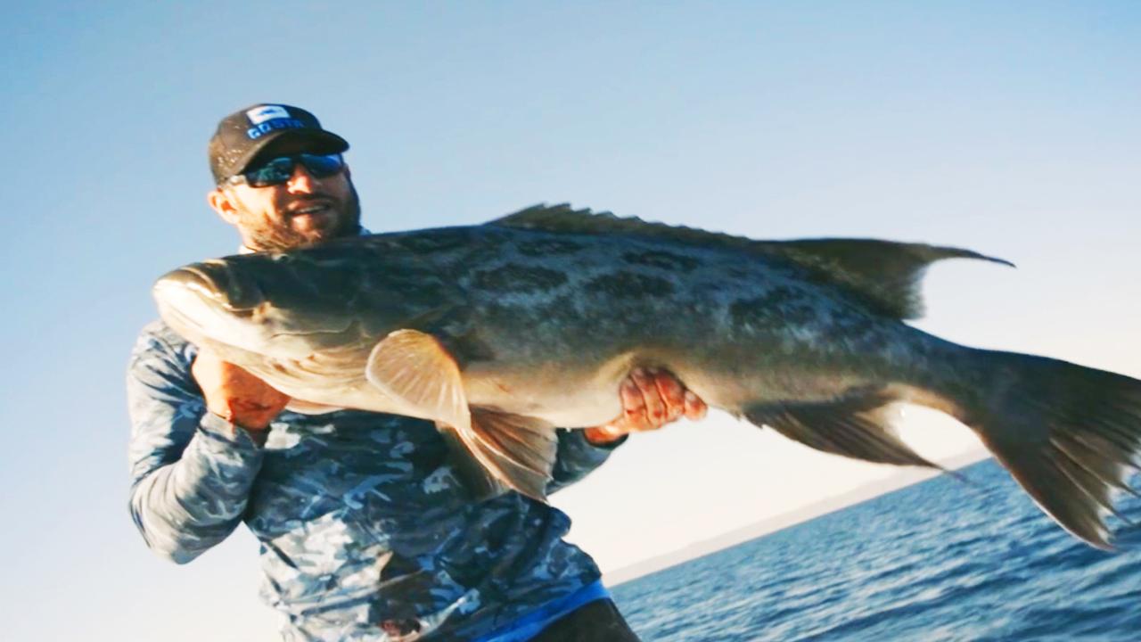 Victory+ - Local Knowledge RAW