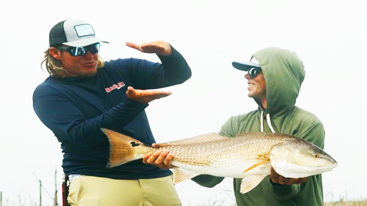 Victory+ - Karma Fish