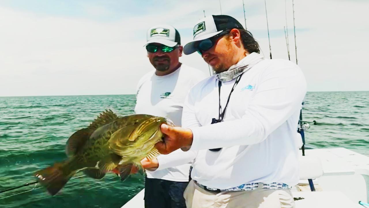 Victory+ - Shallow Water Studs