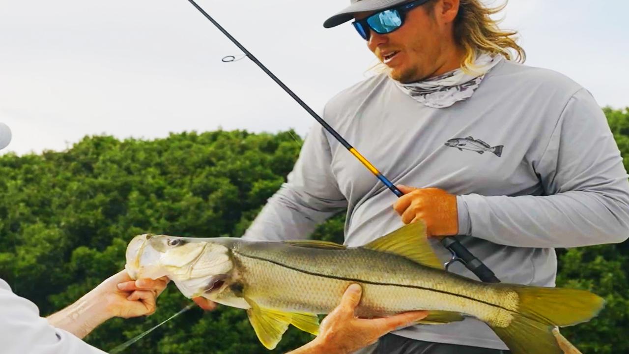 Victory+ - Backcountry on the Nature Coast