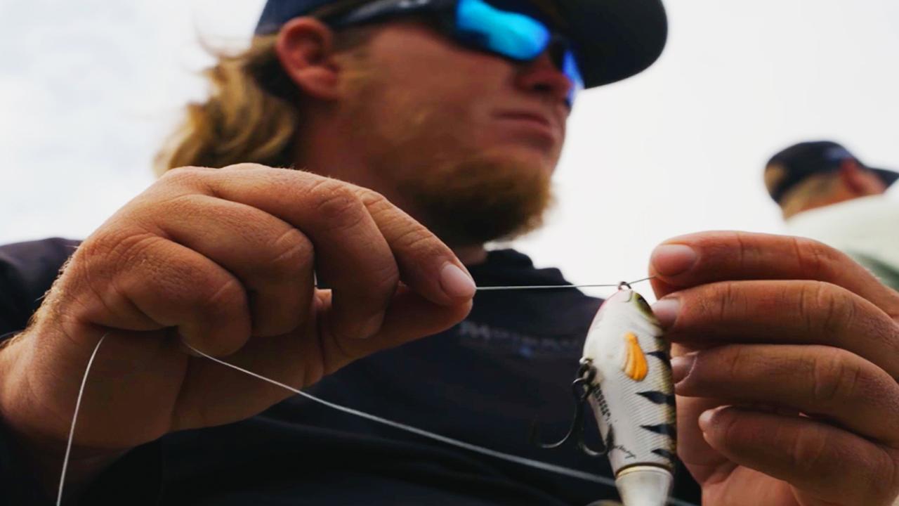 Victory+ - How It All Started