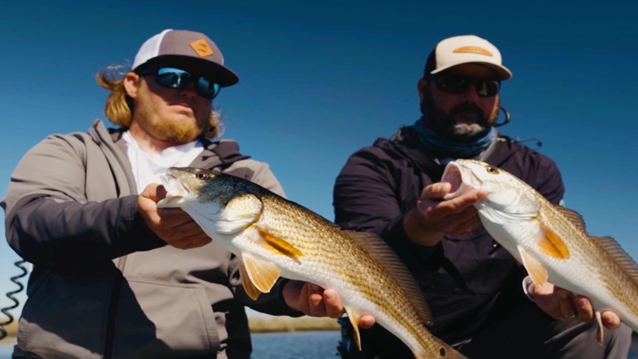 Victory+ - The Finale