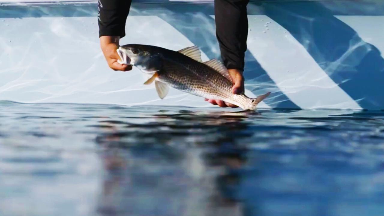 Victory+ - Cold Front Fishing