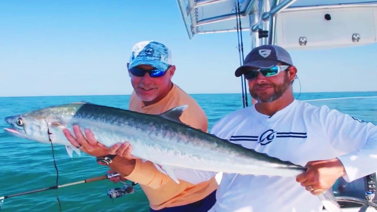 Victory+ - Pelagic Migration