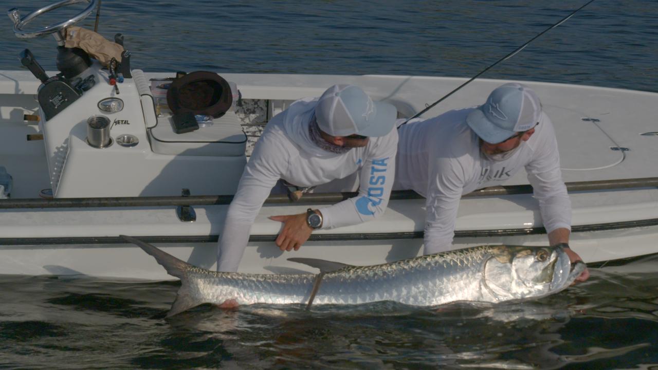 Victory+ - Apart Together