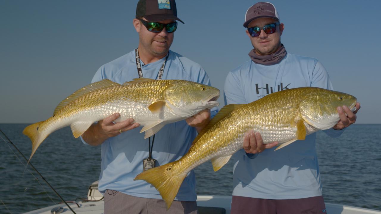 Victory+ - Garden in the Gulf