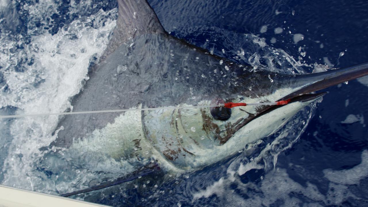 Victory+ - Island of Fire