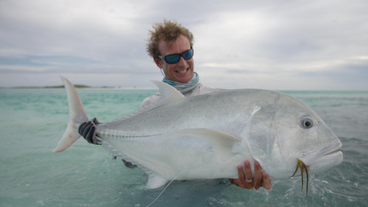 Victory+ - Blue Horizon