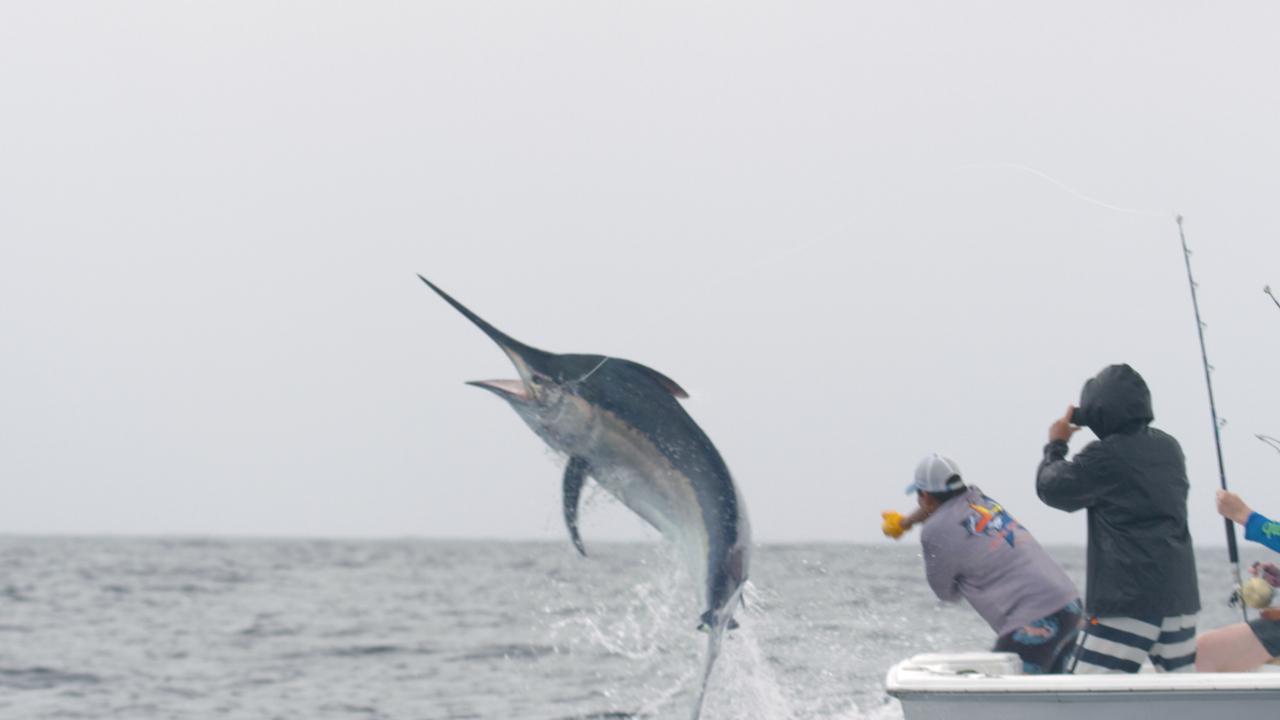 Victory+ - Peak Season