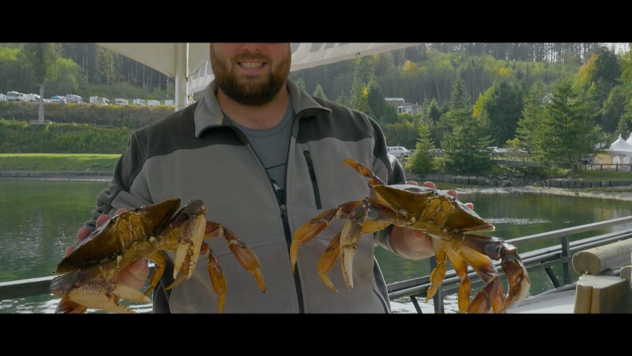 Victory+ - West Coast Pincers