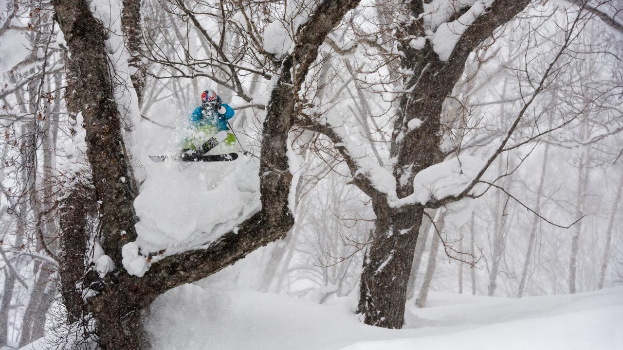 Victory+ - Ends of the Earth